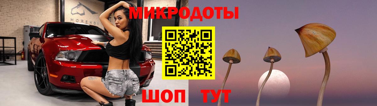 Псилоцибиновые грибы ЛСД  Псилоцибиновые грибы Magic Shrooms  как найти закладки  Вход с VPN  Ртищево 